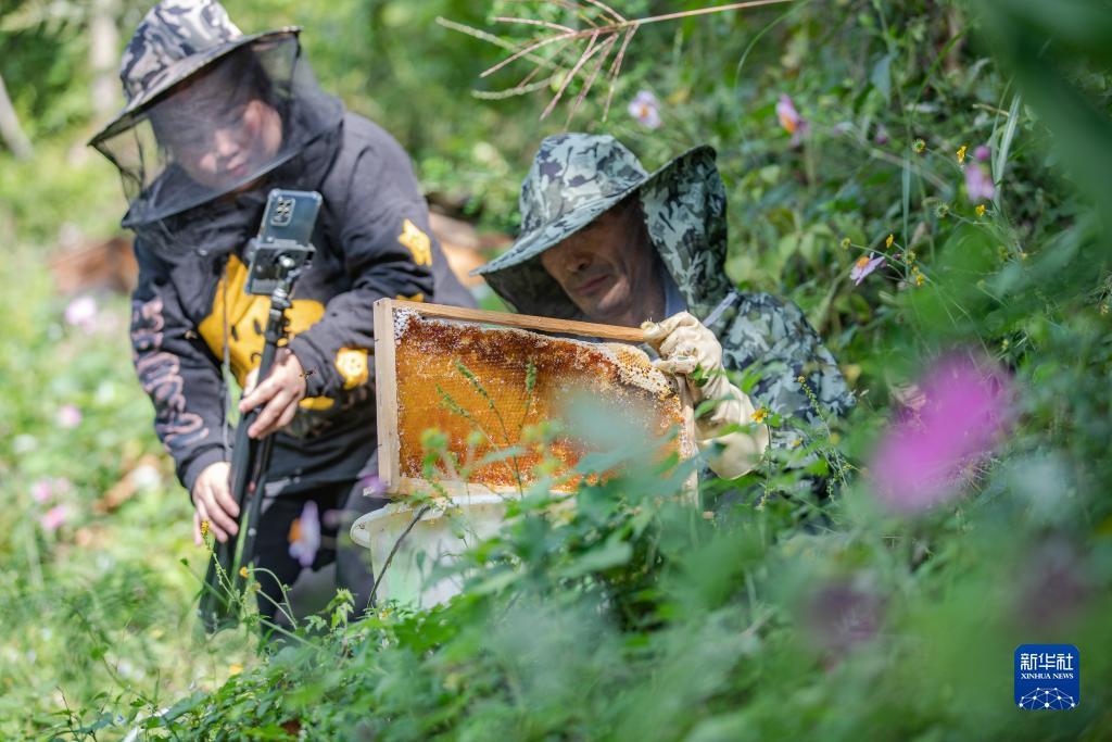 百老汇下载